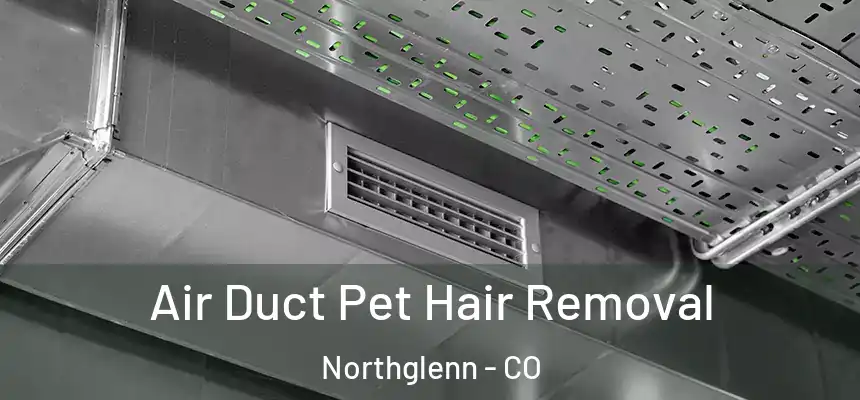 Air Duct Pet Hair Removal Northglenn - CO