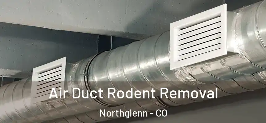 Air Duct Rodent Removal Northglenn - CO