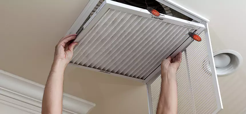 Preventive Cockroach-Proofing for Ducts in Northglenn