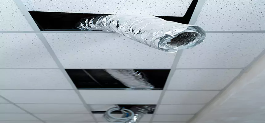 Our Air Duct Pet Hair Removal Services in Northglenn, CO