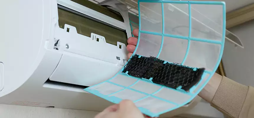 Gentle Ductwork Odor-Control Pet Dander Duct Cleaning in Northglenn, CO