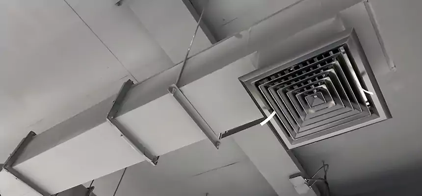 Our Rodent Droppings In Vents Services in Northglenn, CO