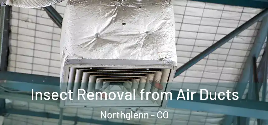  Insect Removal from Air Ducts Northglenn - CO