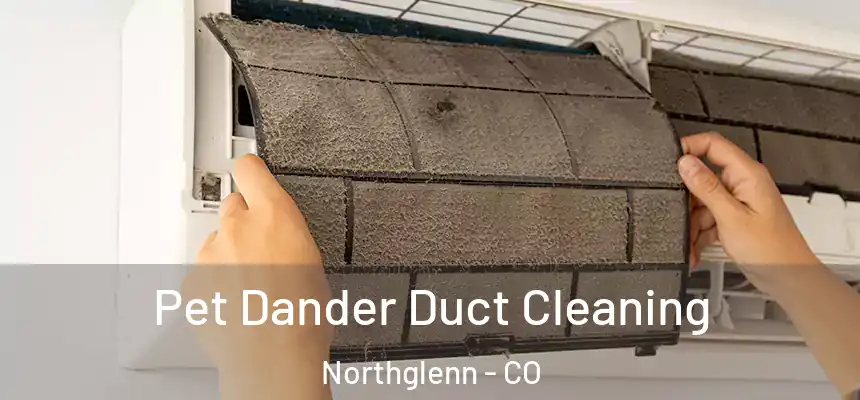 Pet Dander Duct Cleaning Northglenn - CO