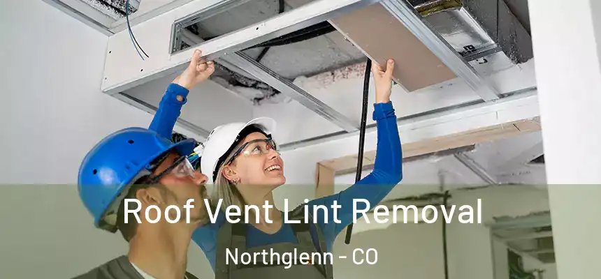  Roof Vent Lint Removal Northglenn - CO