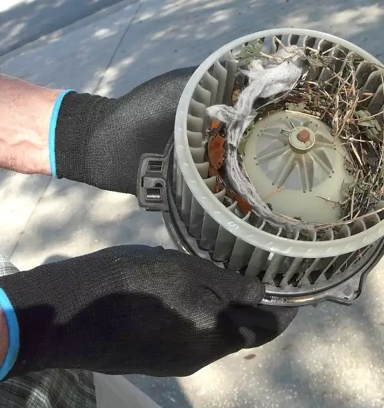 About Air Duct Mice Removal in Northglenn, CO