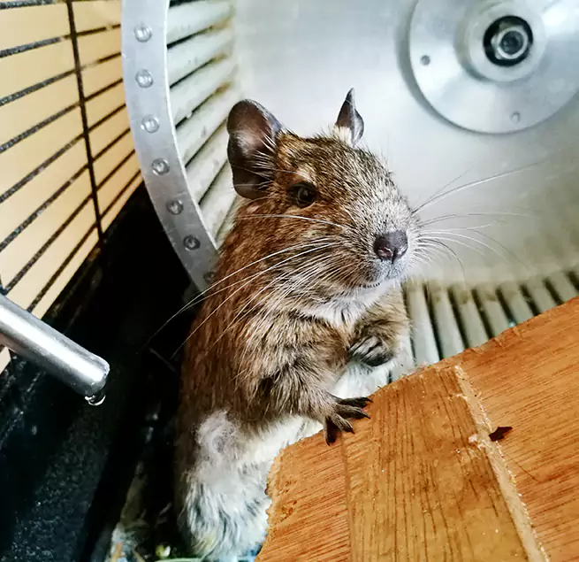 Why Homeowners & Businesses Trust Us Northglenn, CO?