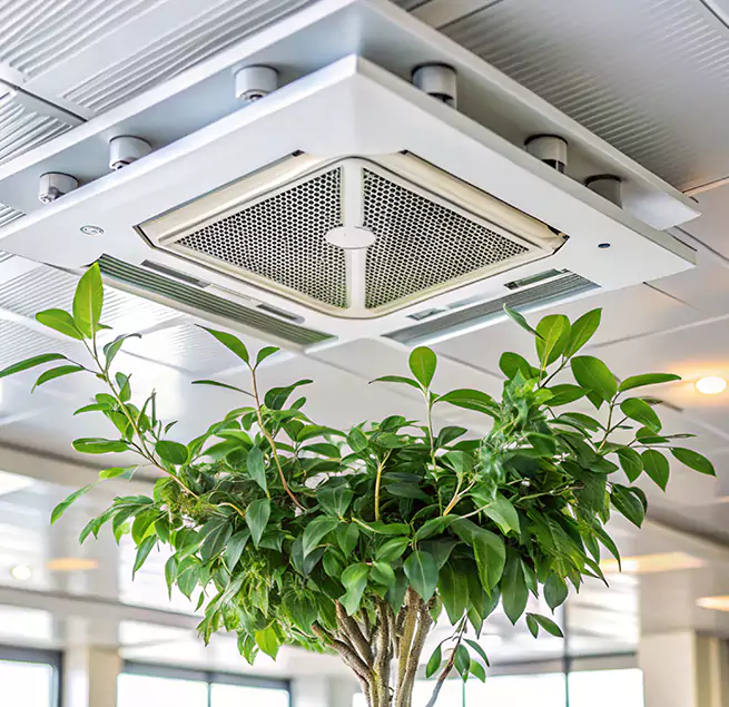 Why Homeowners & Businesses Trust Us in Northglenn, CO